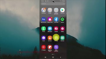 Samsung Galaxy S20 : How to enable or disable passwords visible (Android 10)