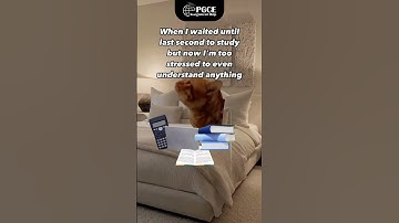 Last-Minute PGCE Panic? We Feel You!  | UK Student Shorts