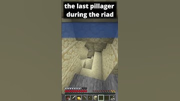 the last pillager during the raid #crystalpvp #minecraft
