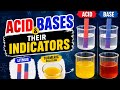 🔬 Acid vs Base Experiment | Litmus & Turmeric Test🧪✨ #ScienceExperiment #Chemistry #LitmusTest