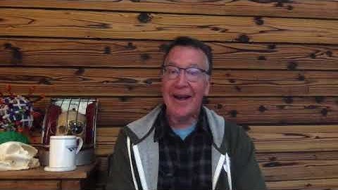 In vivo versus in vitro experiments