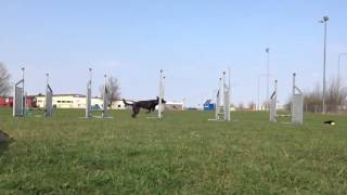 Hoppteknik Stella 1