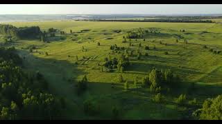 Groene Horizon Een Rustgevende Dronevlucht Over Graslanden