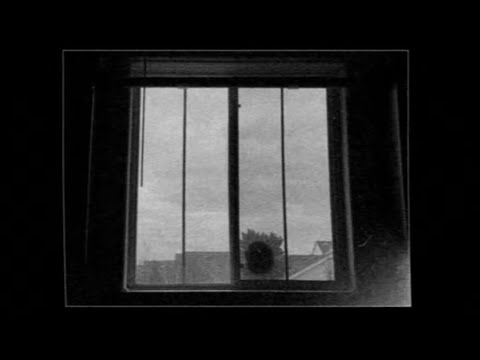 This Analog Horror Makes You TERRIFIED of Plants. | [Botanophobia]