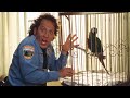 The Animal | Full Movie Review &amp; Story Analysis | Rob Schneider, Colleen Haskell