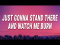 Eminem, Rihanna - Just gonna stand there and watch me burn (Love The Way You Lie) (Lyrics)