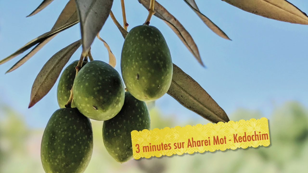 Au paradis du fruit - Aharei Mot - Kédochim