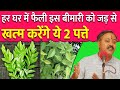 कड़ी पत्ता का सही इस्तेमाल और इसके फायदे 🥄