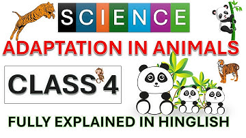 adaptation in animals class 4 | class 4 adaptation in animals | fully explained | book pearson