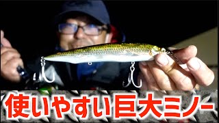 【メガバス】秋のシーバス、カナタは絶対！【釣れるルアー公開】