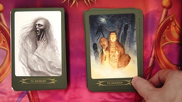 Witches Compendium Oracle - 4k Flip Through