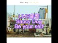 LIVE音響Saucy Dog Be your self