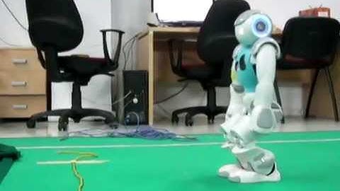 NAO Humanod Robot walking with sensory feedback