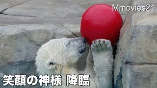 Polar Bear cub is too cute !可愛すぎるホッキョクグマのこぐま リラ