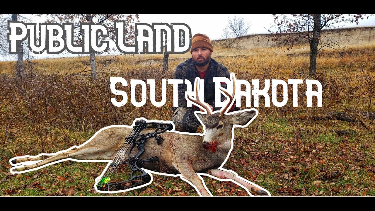 SD Public Land Archery Mule Deer YouTube