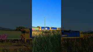 Freight Train Being Loaded with Grain | Early Morning in an Australian Country Town