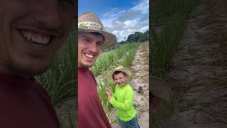 Eu e o boiadeiro na lida #agro #agriculture #pecuaria #vidanaroca #roca