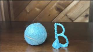 Blue Clay Ball Rolls Into the Letter B 🔵✨ (Reverse Loop)