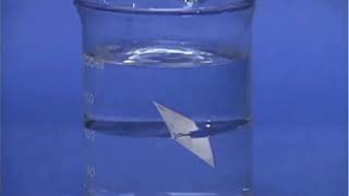 Floating Squares - Hexane and Water