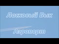 Ласковый Бык Аэропорт 