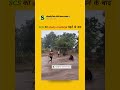 SCS Ka Study Material Padne Ke Baad Confidence Level 😎📚 | Student Life Meme #shorts