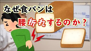 【食パン腰折れしてませんか？】パン職人が『腰折れ』の原因を徹底解明！