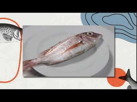 Vídeo: Com Utilitzar Un Cercador De Peixos