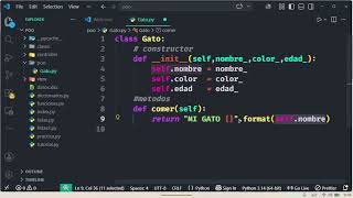 PROGRAMACIÓN ORIENTADO A OBJETOS EN PYTHON | POO EN PYTHON | CLASES Y OBJETOS EN PYTHON