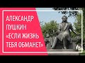 Александр Пушкин «Если жизнь тебя обманет» | Russian poetry | Pushkin