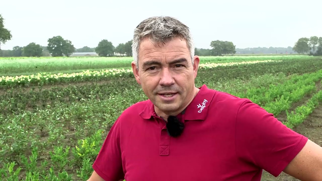 Demodag boomteelt in teken van plantweerbaarheid en duurzaam bodembeheer