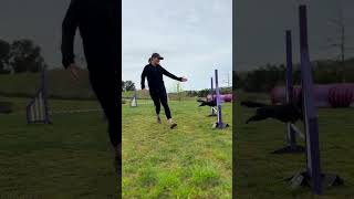 Agility training sequence - Front Cross. vs Blind Cross Agility training sequence - Front Cross. vs Blind Cross