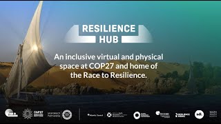 From Risk to Resilience: Path towards achieving disaster & climate resilient infrastructure 11 Nov
