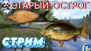 🌟СТАРЫЙ ОСТРОГ🌟ПРОВЕРИМ КЛЁВ🌟Русская Рыбалка 4(РР4)🌟