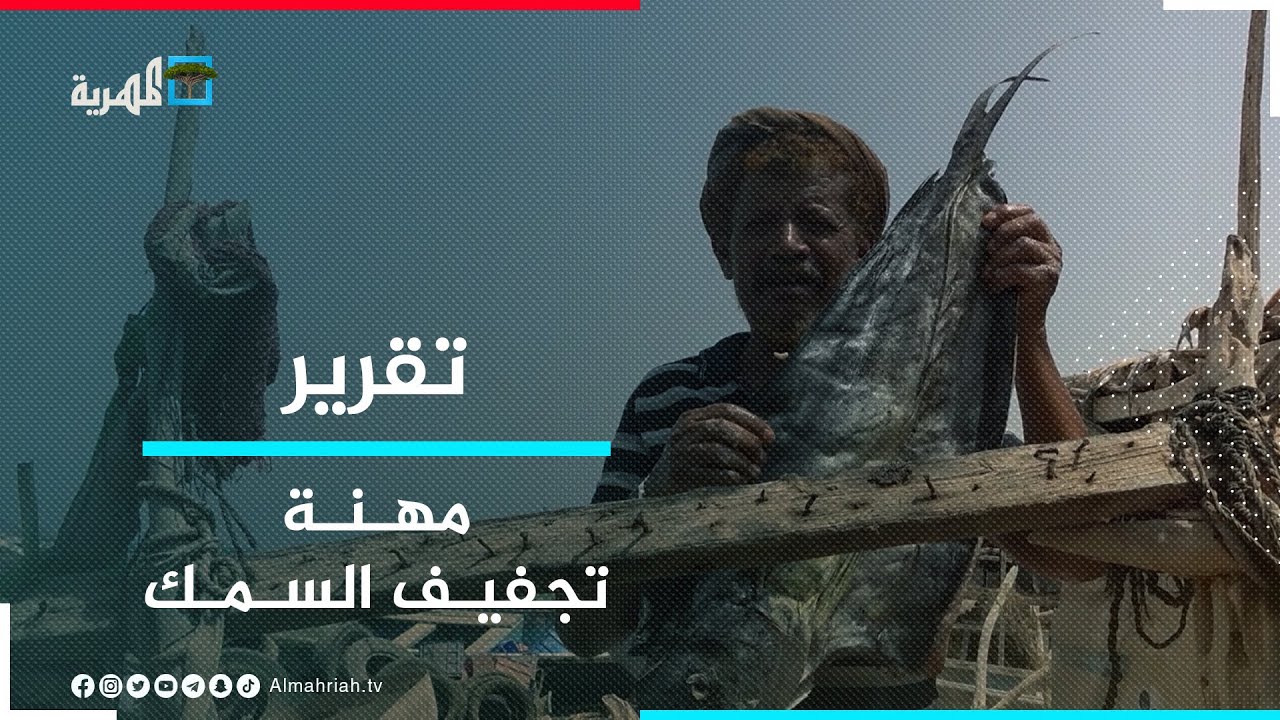 تجفيف السمك .. مهنة قديمة ومصدر رزق للعديد من الصيادين في ساحل لحج