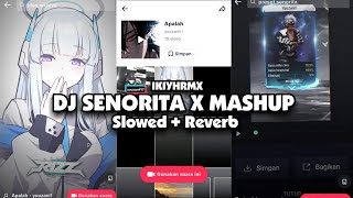 DJ SENORITA X MASHUP Slowed + Reverb 🎧