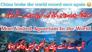 World record largest aquarium in China 🇨🇳 | Chimelong Ocean Kingdom | Part II