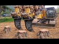 Dangerous Fastest Big Tree Stump Removal Excavator Working, Modern Stump Grinding Machines Equipment