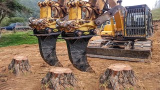 Dangerous Fastest Big Tree Stump Removal Excavator Working, Modern Stump Grinding Machines Equipment