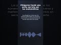 Pitágoras fundó una secta secreta por las matemáticas
