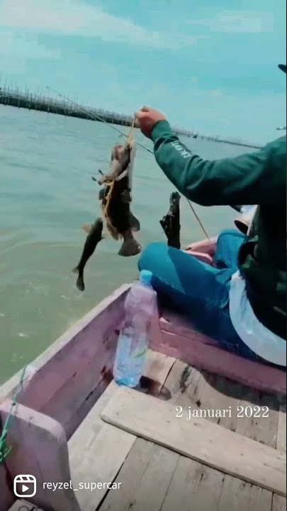 dudu wong top topan #story_wa #story #stroywa #kekinian