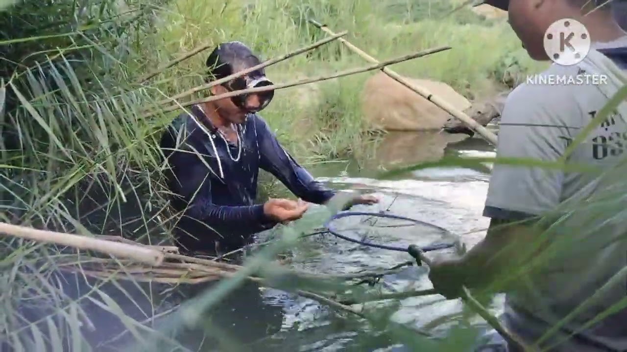 Hành trình đi bắt cá suối Anh Bhet vlogs