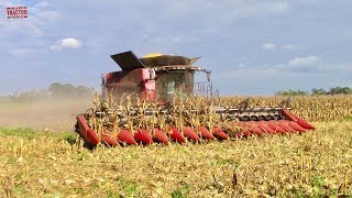 16 row Corn Combine: Case IH 8240 Axial-Flow