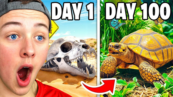 Reacting To Simulating AFRICA For 100 Days