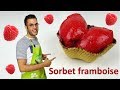 recette SORBET FRAMBOISE, simple et rapide
