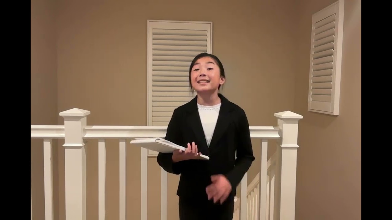 Anne Wong - Congress - Bring Americans Earnings (BAE) Act