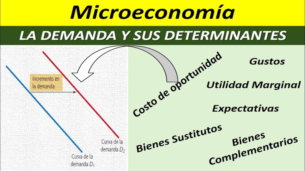 LA DEMANDA Y SUS DETERMINANTES - YouTube