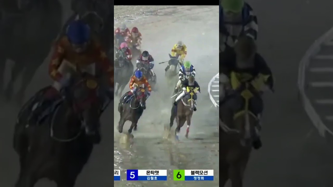 19배 5번단승2방 문자보내준것01055879275