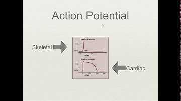 EL 306 Unit 4 Electrical activity of heart and its construction by Ruchi mem GPC Pali