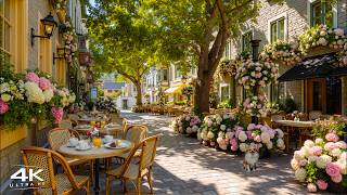 Elegant Morning Jazz in Paris ☕Soft Outdoor Cafe Ambience & Smooth Bossa Nova Music for Focus, Calm screenshot 5