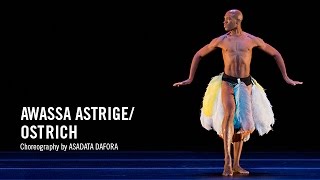 Alvin Ailey: Awassa Astrige / Ostrich by Asadata Dafora